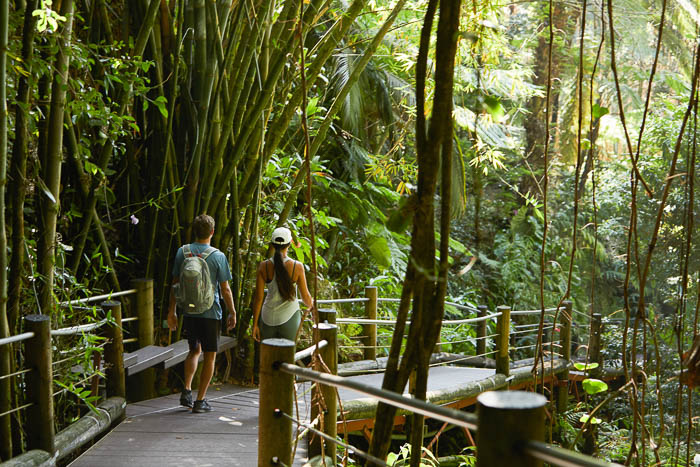 Botanical Gardens