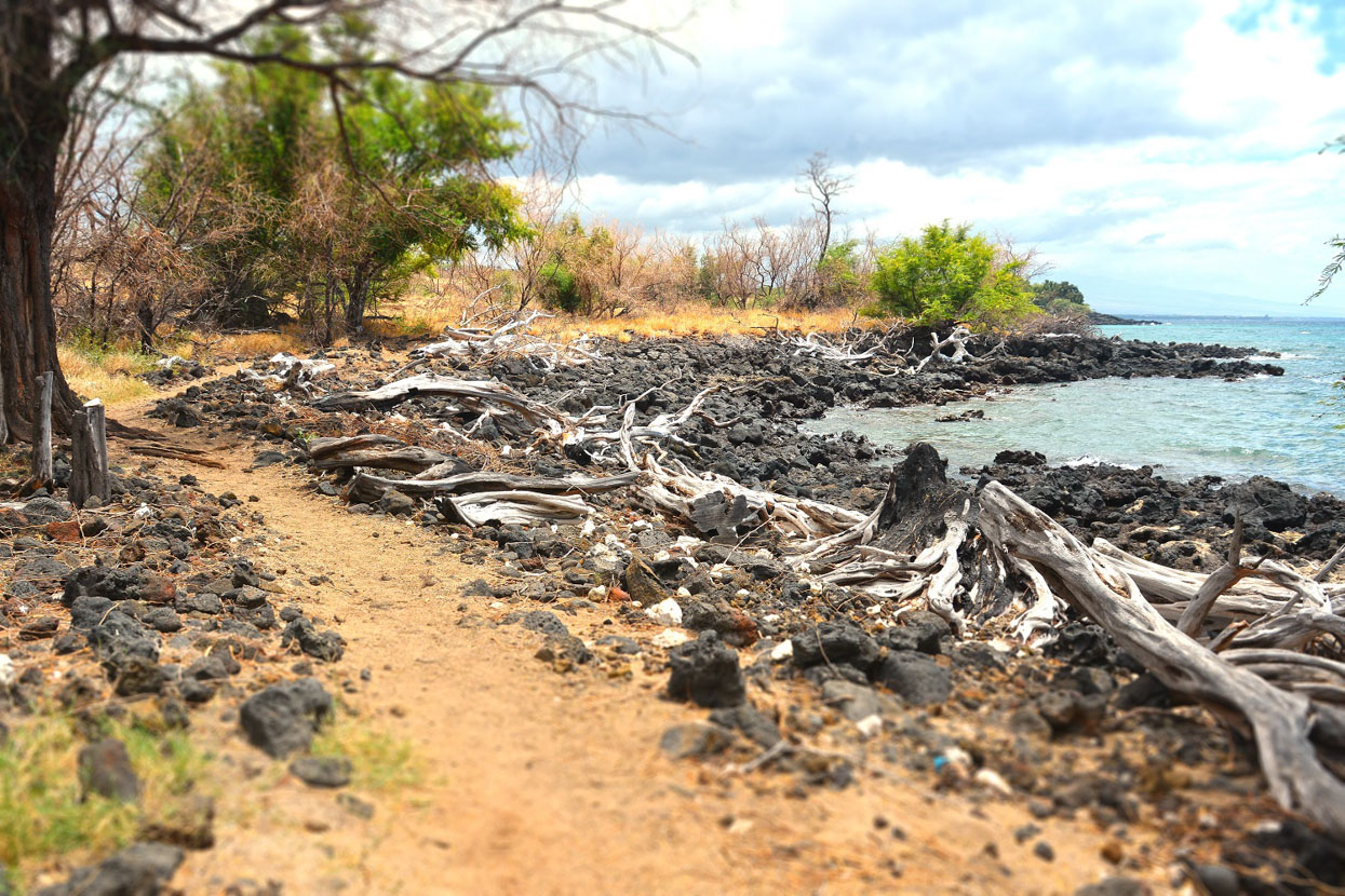 Ala Kahakai