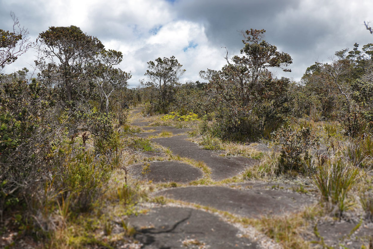 Kaulana Manu Nature Trail