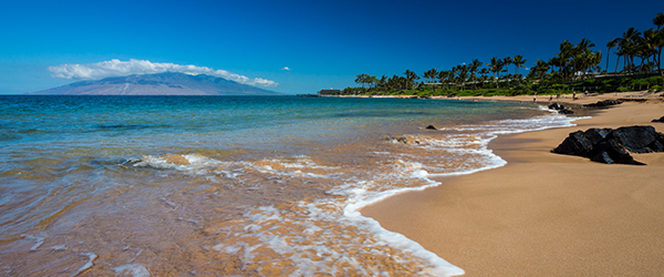 Discover Maui in a whole new way.