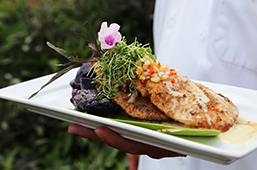Chef's Corner - Mac Nut Mahimahi