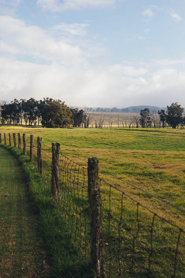 Temperate Zone Waimea